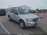 FORD ESCAPE XLT 1FMCU0DG4AKB30356 fotografie
