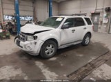 FORD ESCAPE XLT 1FMCU93G09K****** снимка