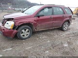 CHEVROLET EQUINOX LS 2CNDL13F086076296 снимка