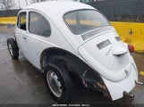VOLKSWAGEN BEETLE 1102490929        fotografie