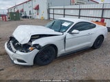FORD MUSTANG V6 1FA6P8AM8H5228256 снимка