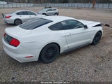 FORD MUSTANG V6 1FA6P8AM8H5228256 снимка