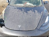 TESLA MODEL 3 REAR-WHEEL DRIVE 5YJ3E1EA6PF658486 снимка