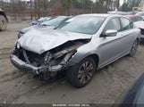 HONDA ACCORD LX 1HGCR2F32DA083447 снимка