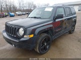 JEEP PATRIOT SPORT 1C4NJRBB4FD269660 fotografie