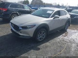 MAZDA CX-30 2.5 S PREMIUM PACKAGE 3MVDMBDM3RM675235 снимка