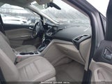 FORD C-MAX HYBRID SEL 1FADP5BU1DL548965 снимка