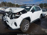 TOYOTA RAV4 XLE 2T3P1RFV1NW325228 photo