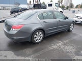 HONDA ACCORD 2.4 EX-L JHMCP26848C047459 снимка