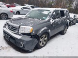 HONDA PILOT EX 5FNYF4H44DB036507 fotografie