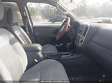 FORD ESCAPE XLT 1FMYU03Z56K****** снимка