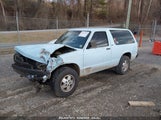 CHEVROLET BLAZER S10 1GNCT18Z0M8300326 снимка