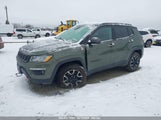 Jeep Compass Trailhawk 4X4 3C4NJDDB7MT598103 снимка