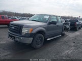 FORD F-150 XL 1FTEX1EM7BFB69077 снимка