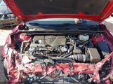 TOYOTA CAMRY XLE 4T1F31AKXMU031774 photo