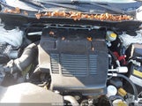 SUBARU FORESTER PREMIUM JF2SKAJC1LH591836 снимка