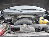 FORD F-150 XLT 1FTFW1ETXEFB78164 снимка