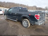 FORD F-150 XLT 1FTFW1ETXEFB78164 снимка