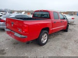 DODGE DAKOTA BIGHORN/LONESTAR 1D7RE3GK9BS608307 fotografie