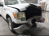 Ford F-150 Xl 1FTNF1CF9DKF22856 снимка