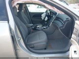 CHEVROLET MALIBU LIMITED LS 1G11B5SA9GF119229 fotografie