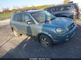 HYUNDAI TUCSON GL KM8JM12B16U438083 снимка