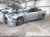 DODGE CHARGER POLICE 2C3CDXAT9EH207531 снимка