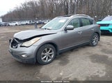 INFINITI EX35 JOURNEY JNKAJ09E38M306581 fotografie