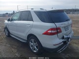 Mercedes-Benz Ml 350 4Matic 4JGDA5HB6EA414768 снимка