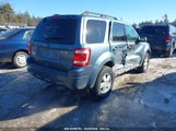 FORD ESCAPE XLT 1FMCU9D70BKA96485 fotografie