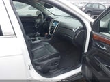 CADILLAC SRX LUXURY COLLECTION 3GYFNEE33FS554365 fotografie