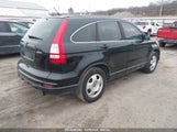 HONDA CR-V LX 5J6RE4H37BL020739 снимка