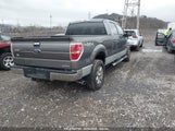 FORD F-150 XLT 1FTFW1EF9EFA42599 снимка
