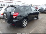 TOYOTA RAV4 JTMBF33V59D006009 снимка