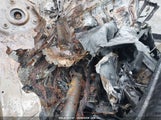 HONDA ACCORD LX 1HGCY1F2XSA008383 photo