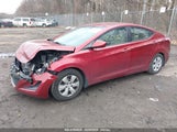 HYUNDAI ELANTRA SE 5NPDH4AE3GH795148 снимка