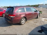 HONDA ODYSSEY EX-L 5FNRL5H60EB098055 снимка