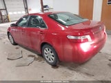 TOYOTA CAMRY HYBRID 4T1BB46K28U056993 снимка