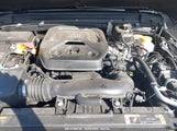 JEEP WRANGLER UNLIMITED WILLYS 4X4 1C4HJXDN6MW812565 снимка