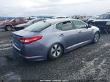 KIA OPTIMA HYBRID EX KNAGM4AD5C5022673 снимка