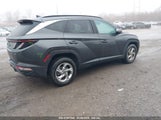 HYUNDAI TUCSON SEL 5NMJBCAEXPH253945 снимка