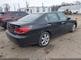 LEXUS ES 330 JTHBA30G555104867 photo