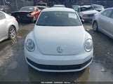 VOLKSWAGEN BEETLE 1.8T FLEET EDITION 3VWF17AT0GM607755 fotografie