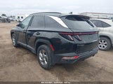 HYUNDAI TUCSON SEL 5NMJBCAE6PH189015 снимка