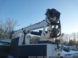 FORD F-550 CHASSIS XL 1FDUF5HT8EEA36021 снимка
