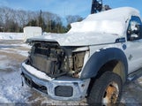 FORD F-550 CHASSIS XL 1FDUF5HT8EEA36021 снимка