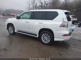 LEXUS GX 460 JTJBM7FX7J5186566 снимка