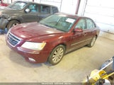 HYUNDAI SONATA LIMITED 5NPEU46C49H561353 снимка