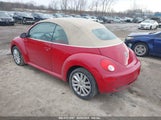 VOLKSWAGEN NEW BEETLE 2.5L 3VWRG3AL0AM005885 photo
