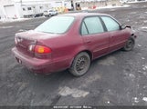 TOYOTA COROLLA LE 2T1BR18E1WC097969 снимка